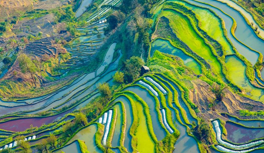 宝妈必备神器：大竹县产品视频拍摄轻松育儿好帮手