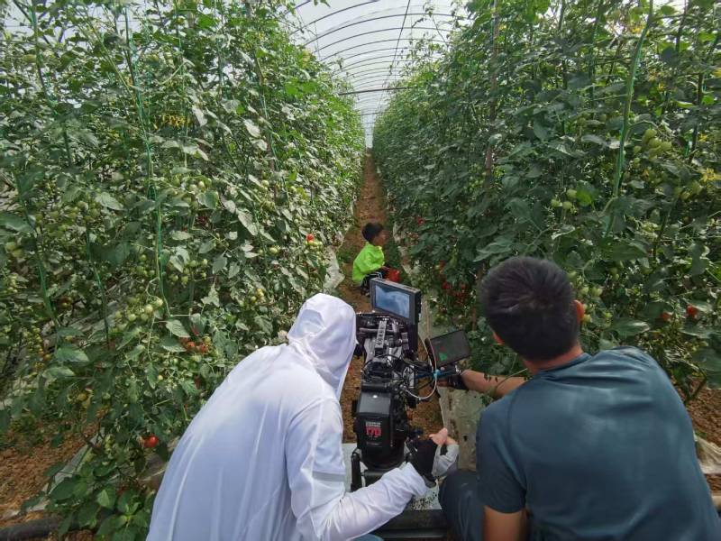 大竹县产品宣传视频拍摄公司进阶指南，助力品牌抢占传播高地